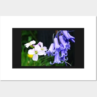 Bluebells and Cuckoo Flowers Posters and Art